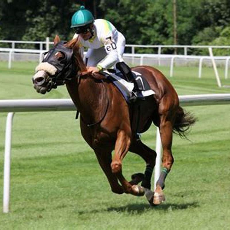 How fast is the fastest horse ever?