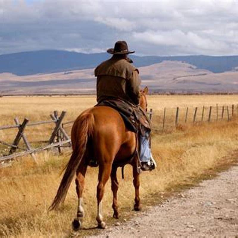 How hard is it taking care of a horse?
