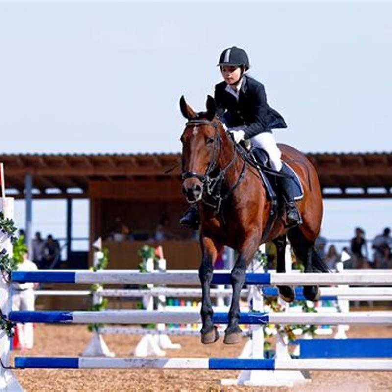 How high can an untrained horse jump?