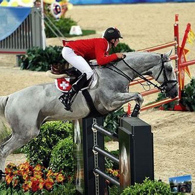 How high do they jump horses in the Olympics? - DIY Seattle