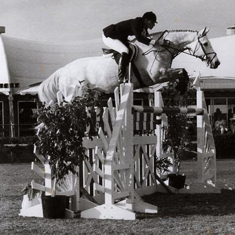 How Is Team Show Jumping Scored DIY Seattle how-is-team-show-jumping-scored-diy-seattle