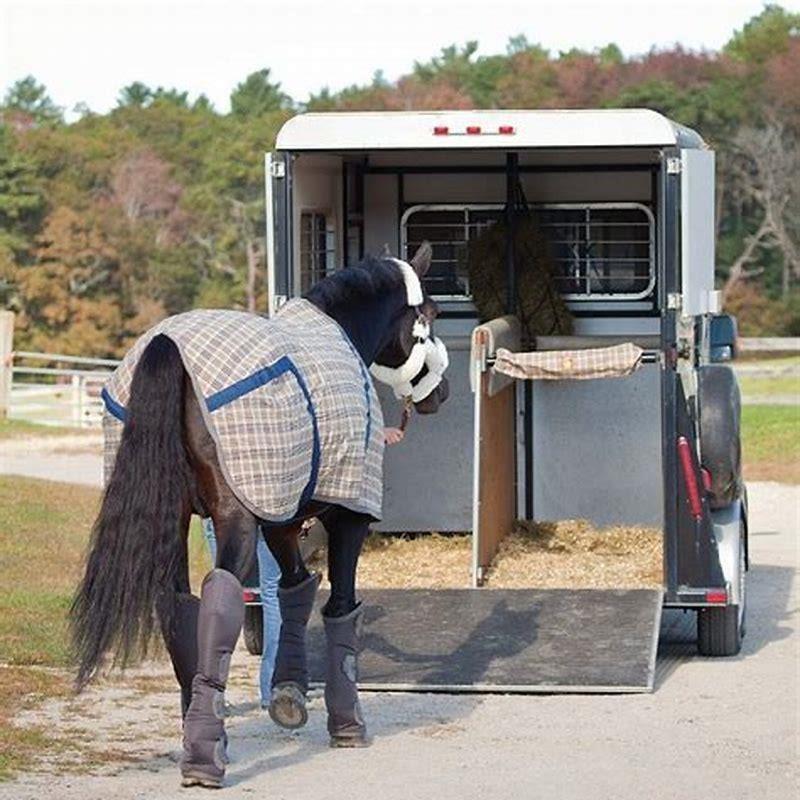 How long are horses in trailers?