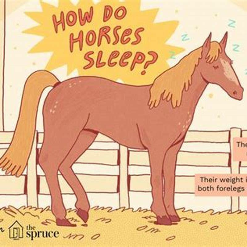 How long can a horse run safely?