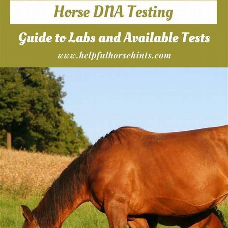 How long do horse treats last?