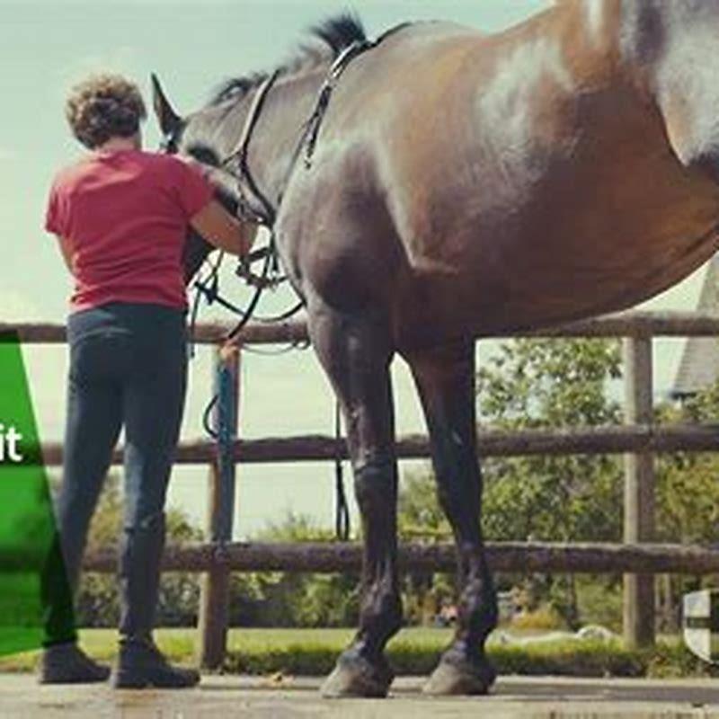 How long does a lame horse take to recover?