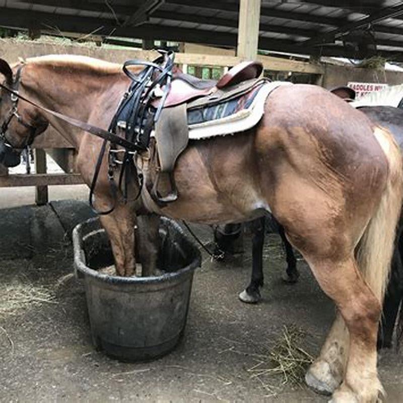 How long does it take to learn to jump on a horse?