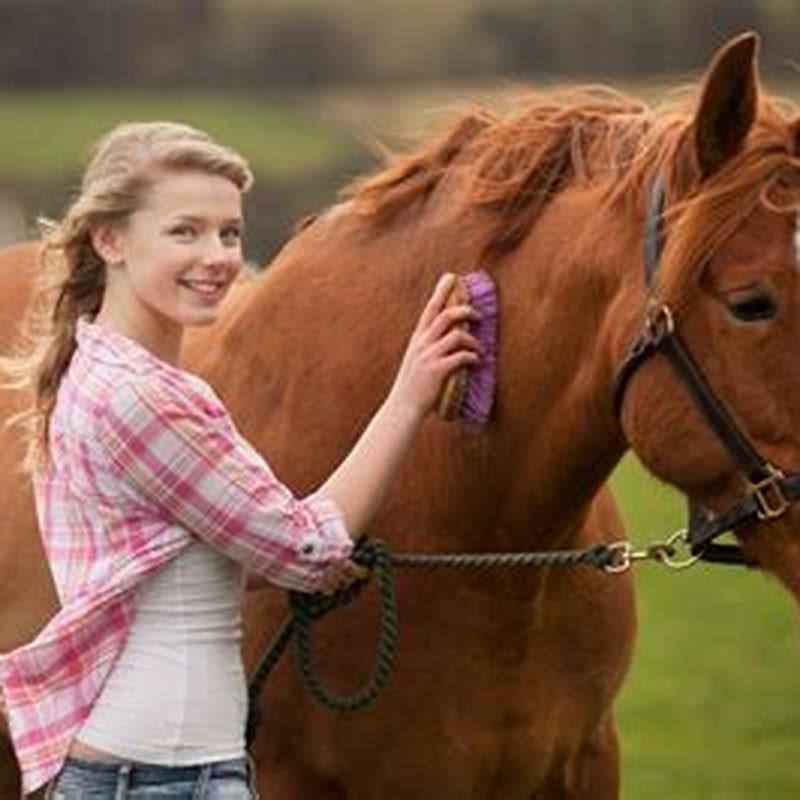 how-long-have-horses-been-cloned-diy-seattle