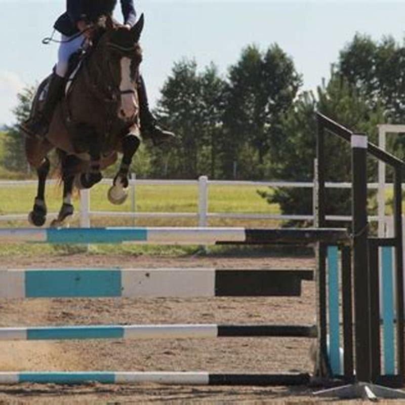 How long is too long to ride a horse?