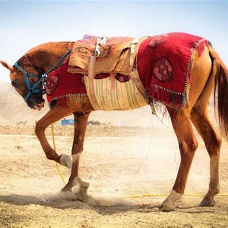 How many horses are in Uzbekistan?