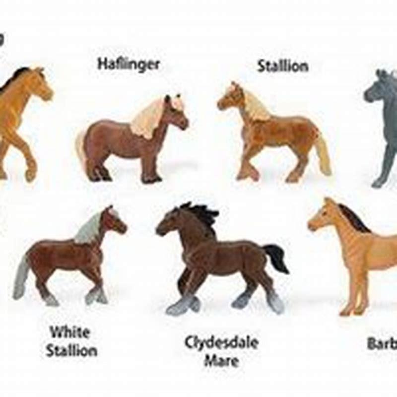 How many styles of horses are there?