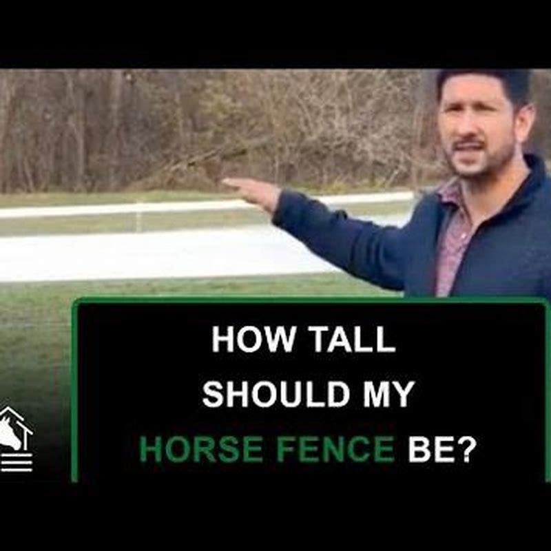 how-tall-should-my-horse-shelter-be-diy-seattle