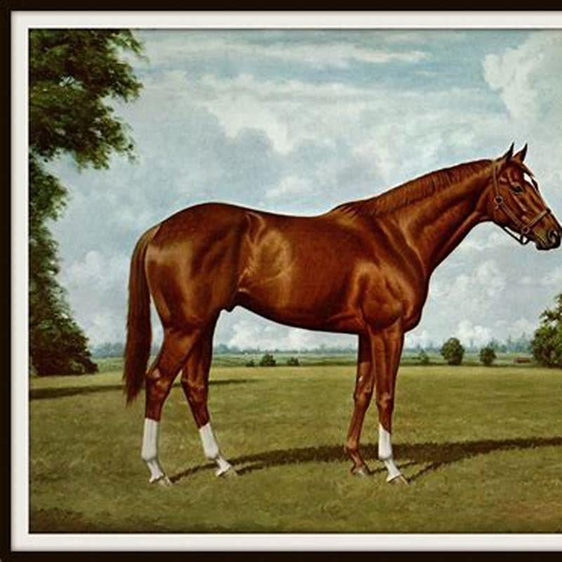 How tall was Secretariat the horse? - DIY Seattle