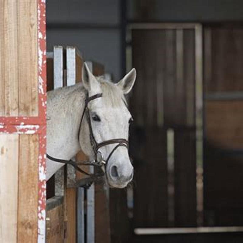 How thick should a horse stall mat be?
