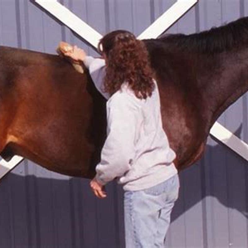 how-tough-is-horse-skin-diy-seattle