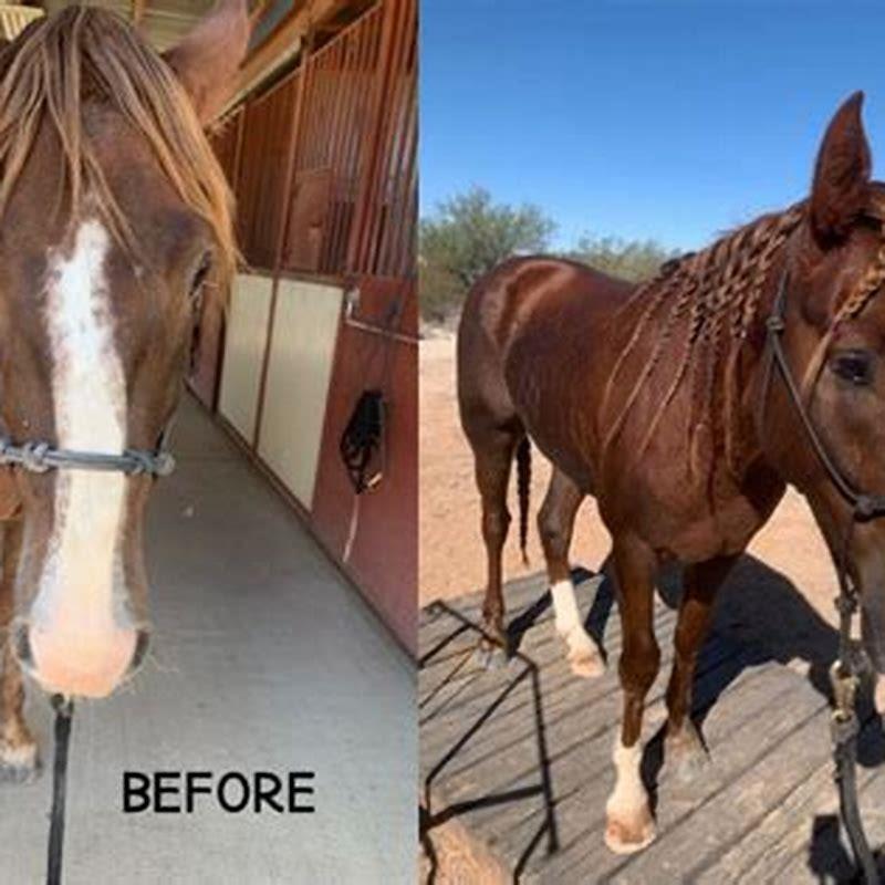 Is Dream Horse streaming anywhere?