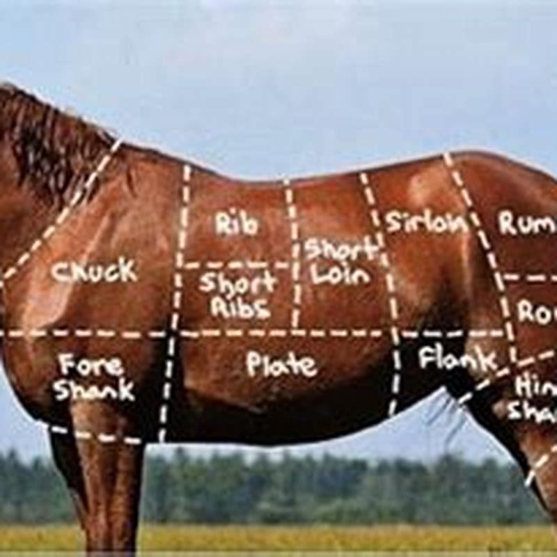 Is eating horse meat good for you? DIY Seattle