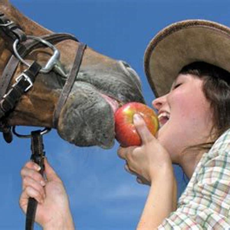 Is feeding apples to horses good?