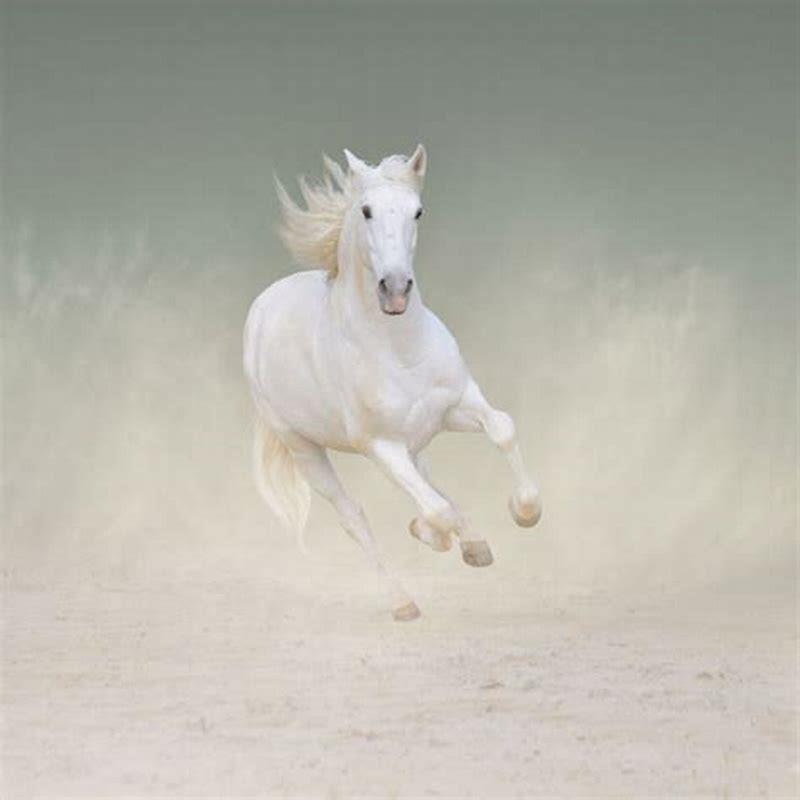 Is galloping on a horse hard?