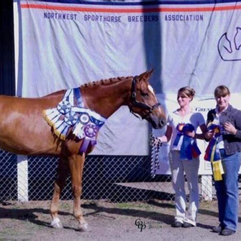 is-horse-feminine-in-french-diy-seattle