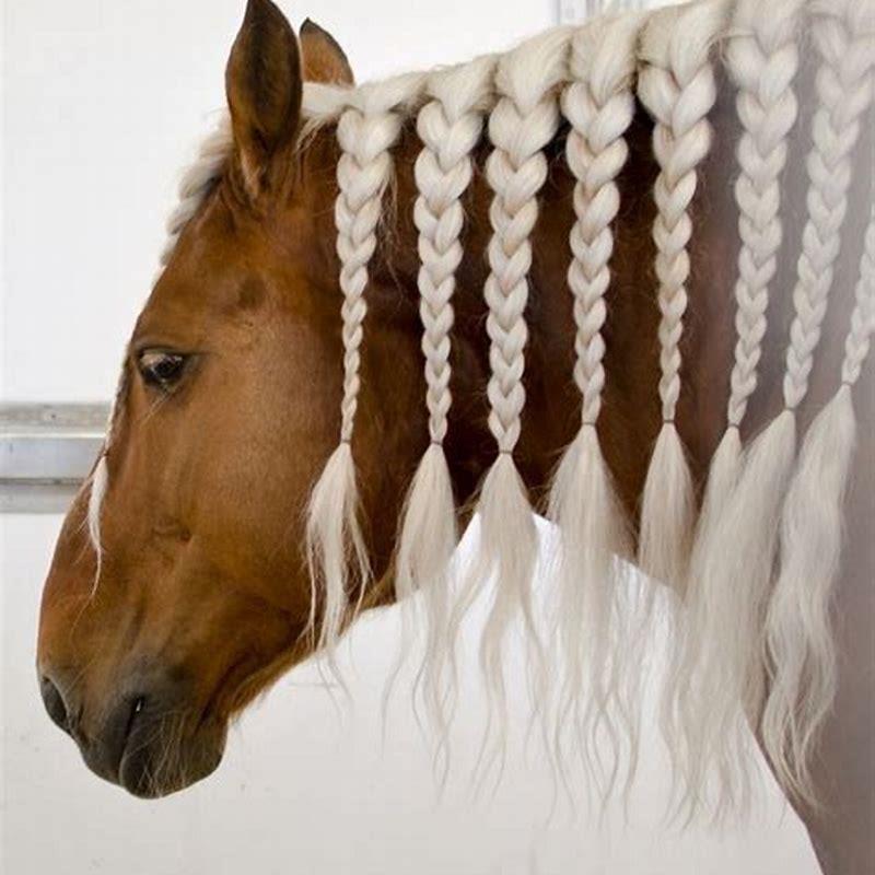 Is horse hair good for anything? - DIY Seattle