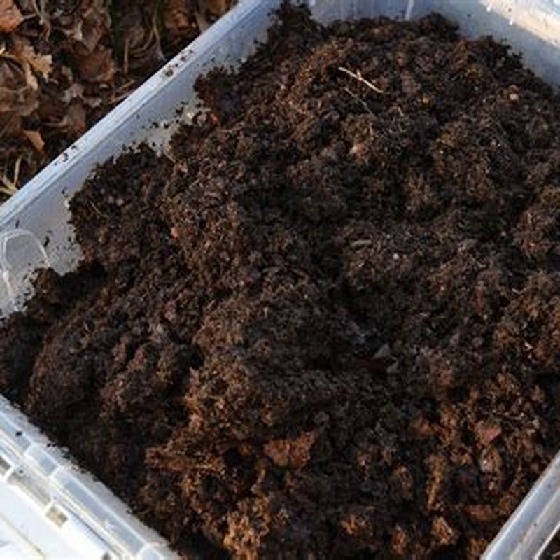 Is horse manure considered hazardous waste? - DIY Seattle