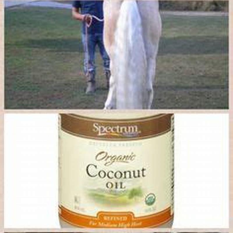 Is horse oil good for hair?