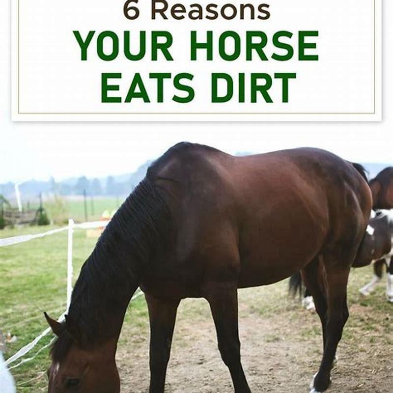 is-it-bad-for-horses-to-eat-dirt-diy-seattle