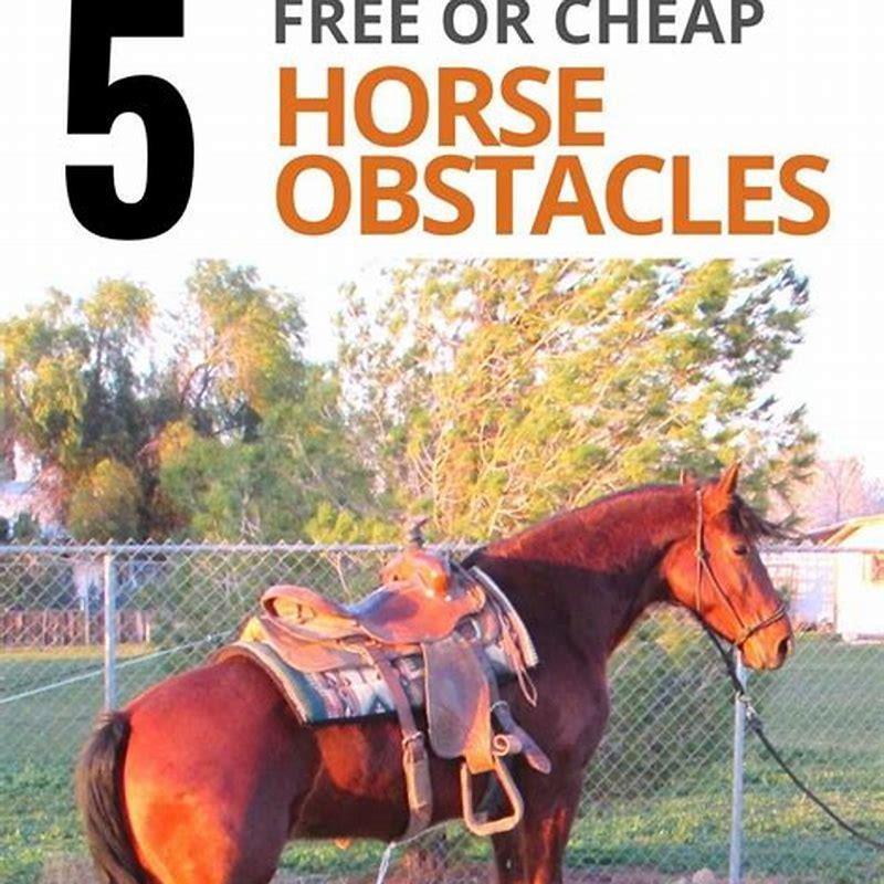Is it cheap to own a horse?
