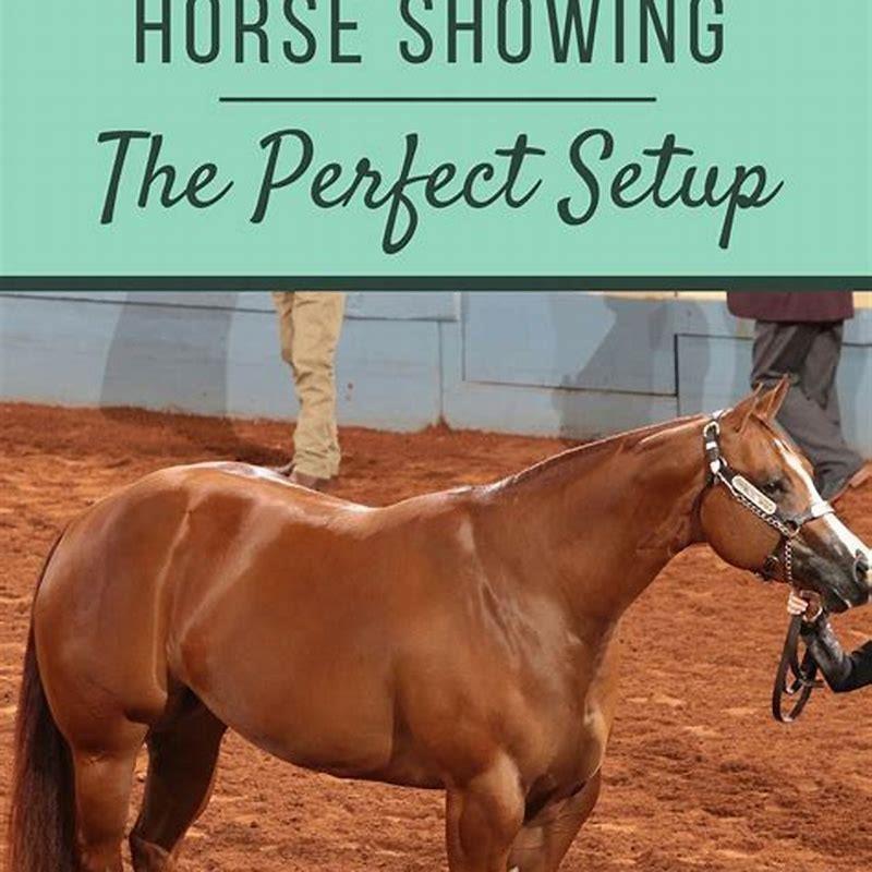 Is it hard to train a young horse?