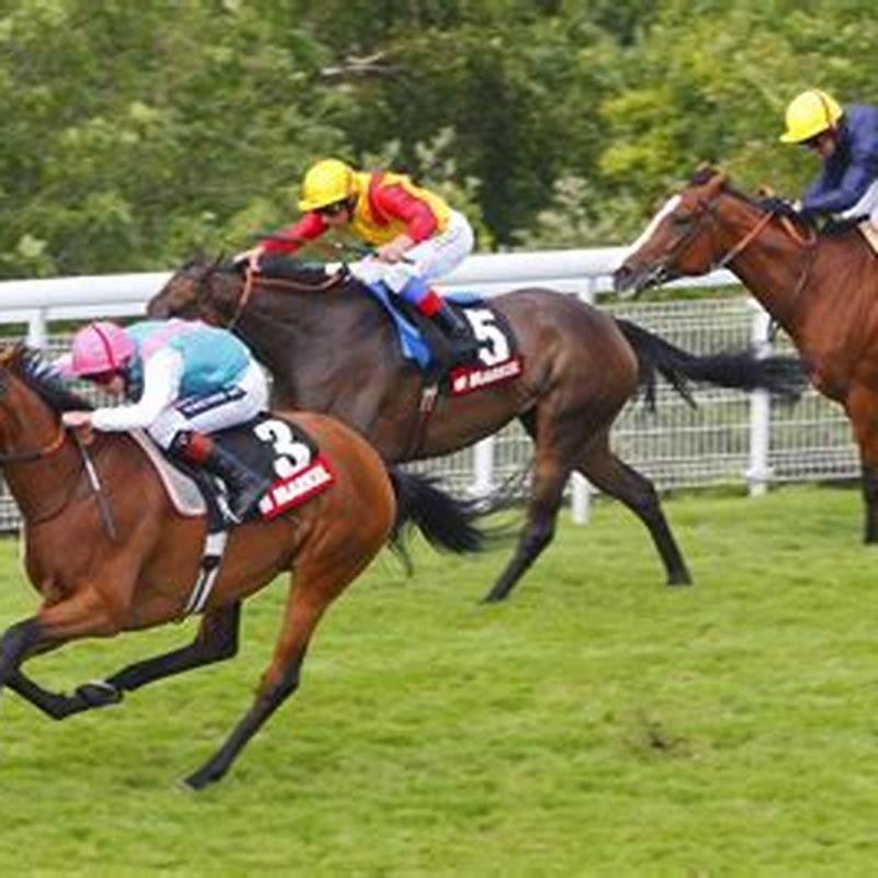 Is it possible to make money betting on horses?