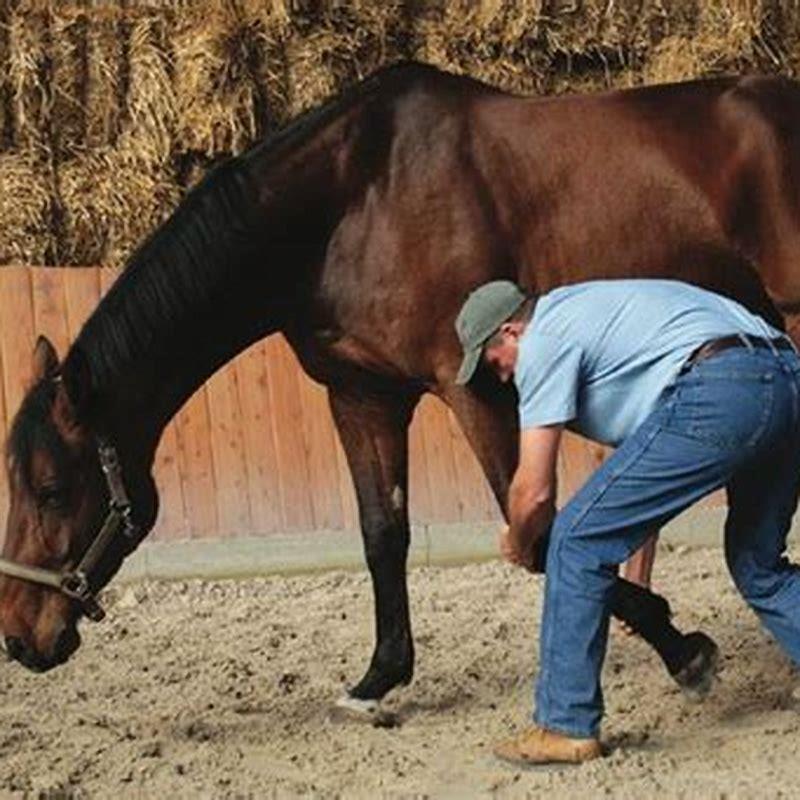 Is massage good for a horse?