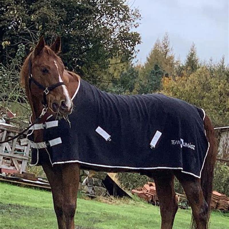 Is Roach a special horse?