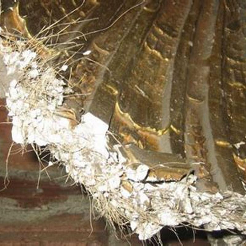 Should I remove horsehair plaster?