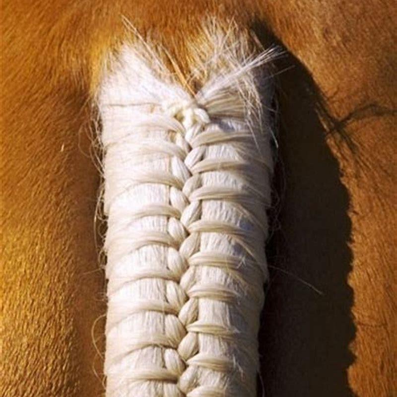 Should you braid a horses tail? DIY Seattle