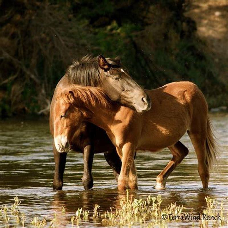 What animal is the river horse?