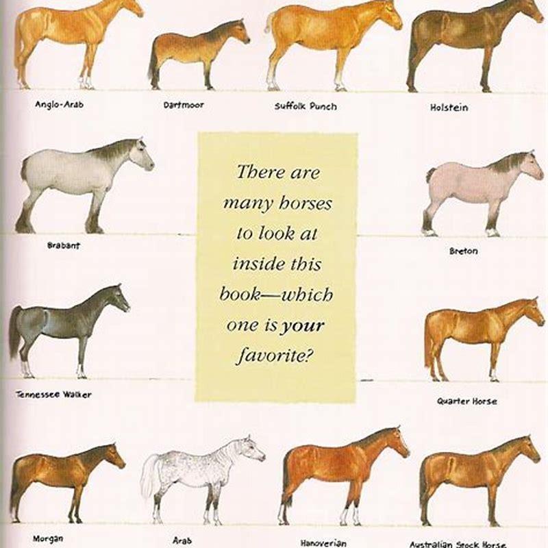 What are Breton horses used for?