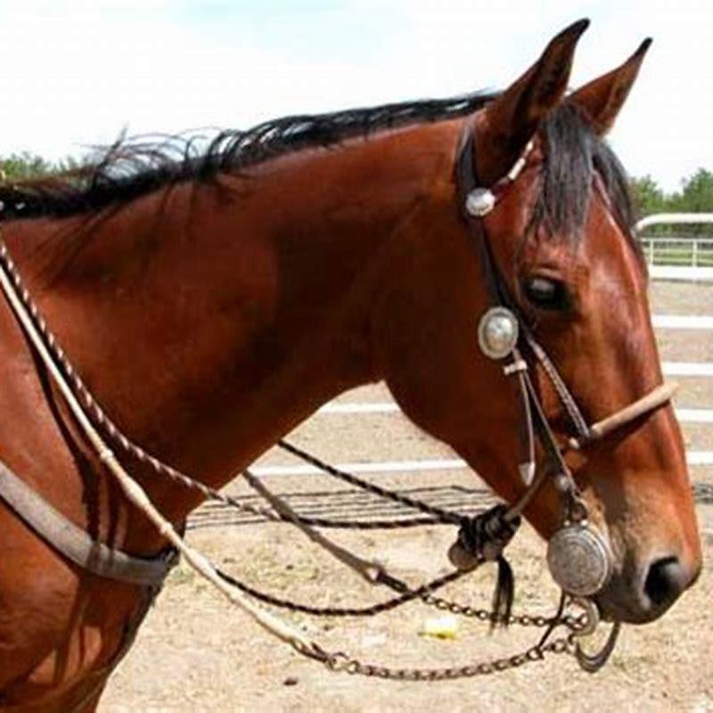 What are horse reins called?