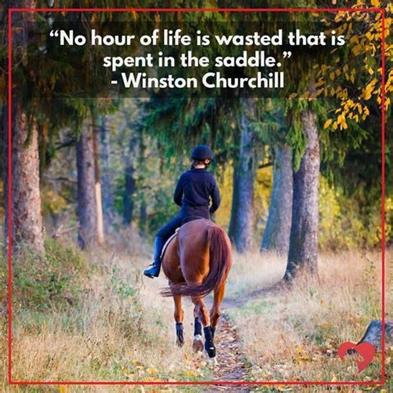 What are some sayings about horses?