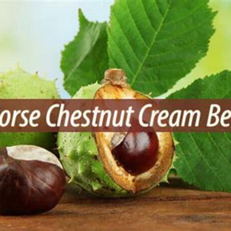 what-are-the-benefits-of-taking-horse-chestnut-diy-seattle