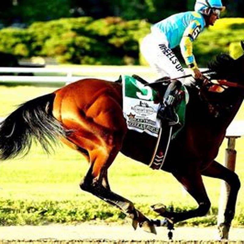 What borough is Belmont Park in?