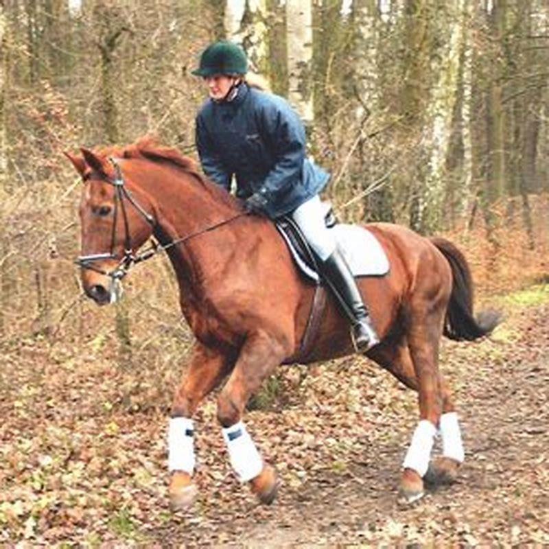 What button do you dismount a horse?