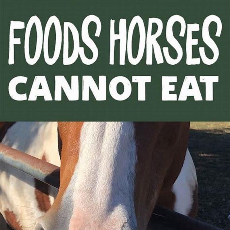 What can horses not eat list? - DIY Seattle