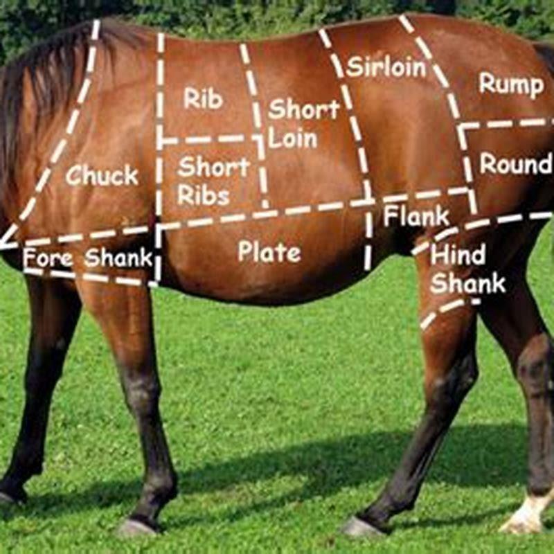 Horse Meat Health Risks at Sonia Chase blog