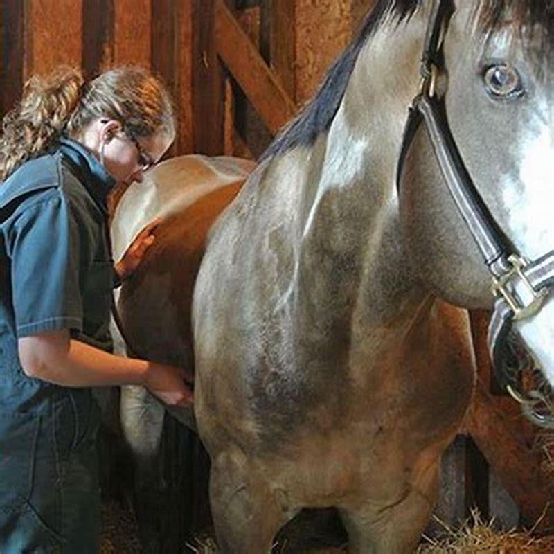 What do they drug horses with?