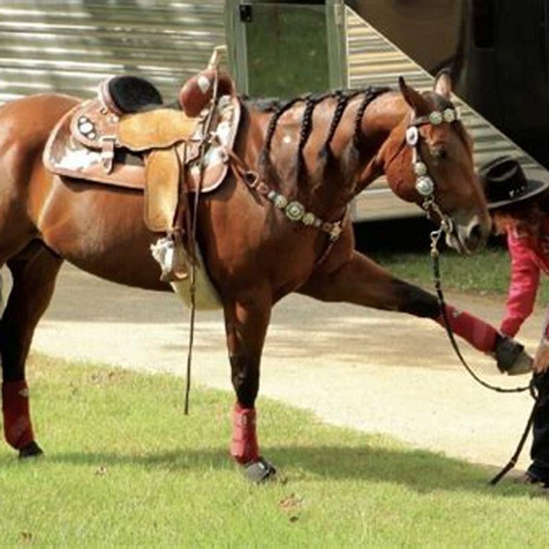 What Is Horse Riding In French Language