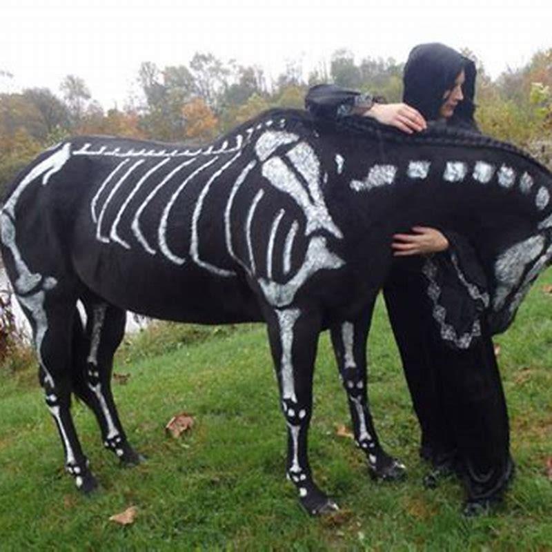 what-does-a-skeleton-horse-look-like-diy-seattle