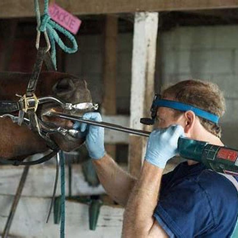 What does floating a horses teeth do?
