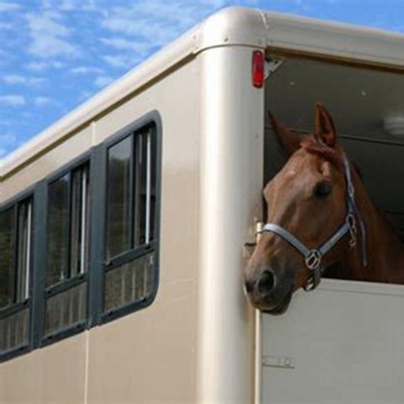 what-does-it-mean-to-hitch-a-horse-diy-seattle