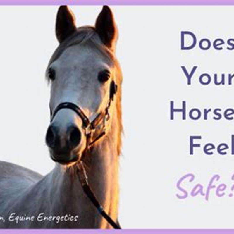 What does safe horse mean?
