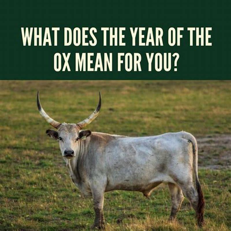 What Does Ox Mean In Size